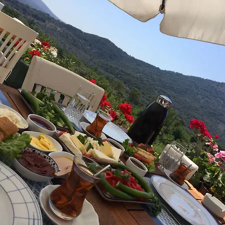 호텔 Son Vapur Butik 2*