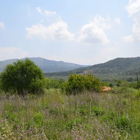 호텔 Son Vapur Butik