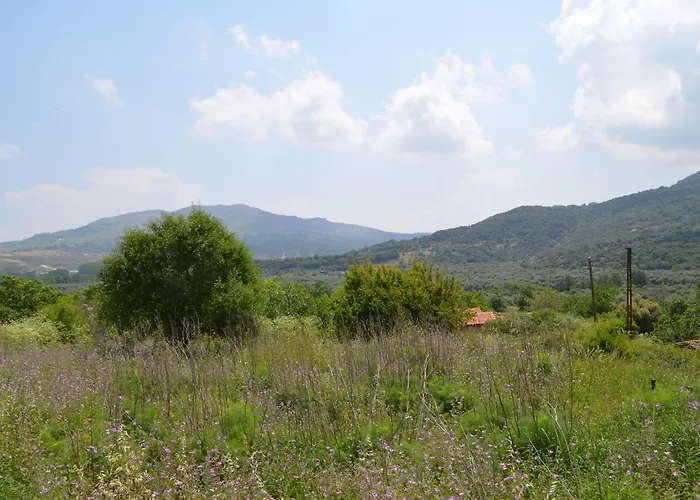 Hotel Son Vapur Butik